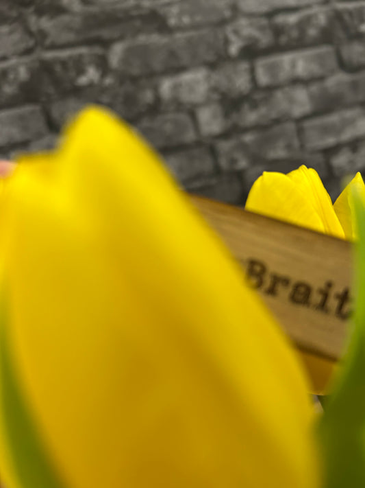 Jolie Vines Spring Swag Box